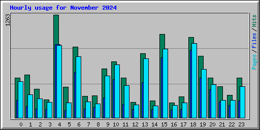 Hourly usage for November 2024