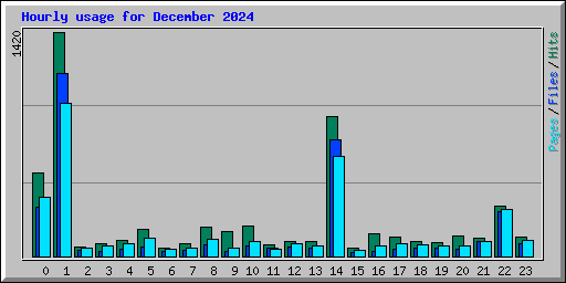 Hourly usage for December 2024